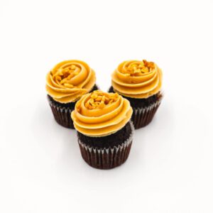 Chocolate cupcakes topped with peanut butter frosting + chopped nuts